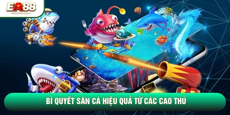 Bí quyết săn cá hiệu quả từ các cao thủ Bí quyết săn cá hiệu quả từ các cao thủ