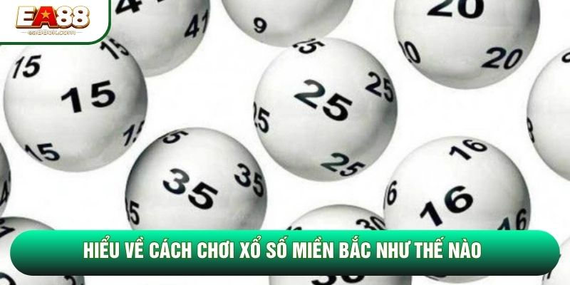 Hiểu về cách chơi xổ số miền Bắc như thế nào Hiểu về cách chơi xổ số miền Bắc như thế nào