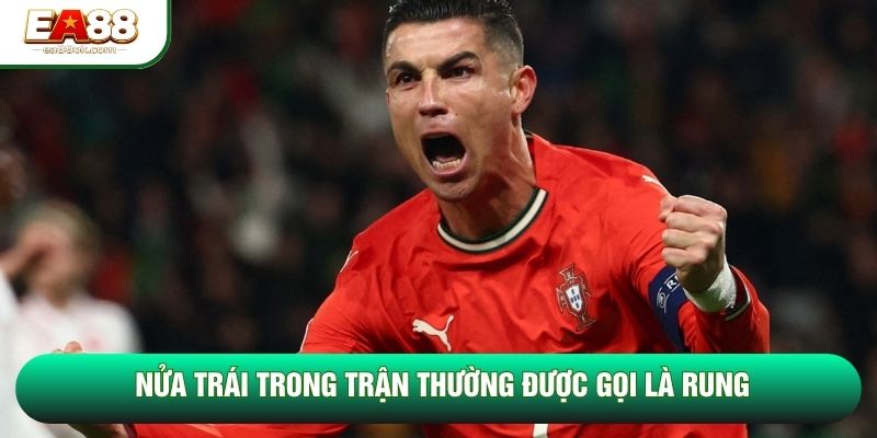 Nửa trái trong trận thường được gọi là rung Nửa trái trong trận thường được gọi là rung
