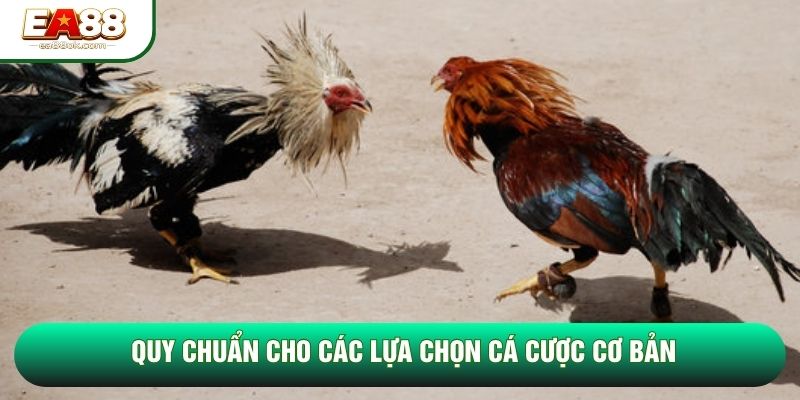 Quy chuẩn cho các lựa chọn cá cược cơ bản