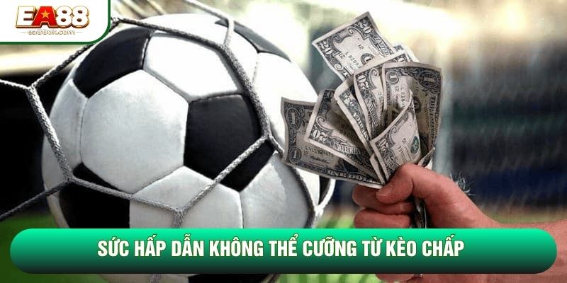 Sức hấp dẫn không thể cưỡng từ kèo chấp Sức hấp dẫn không thể cưỡng từ kèo chấp