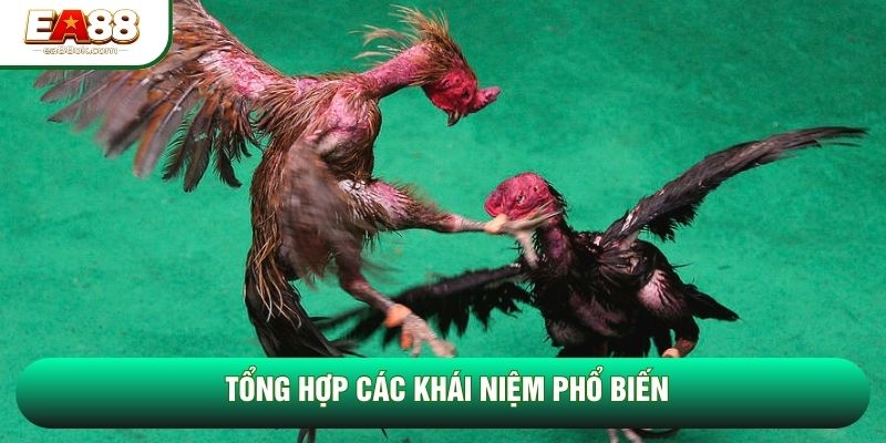 Tổng hợp các khái niệm phổ biến